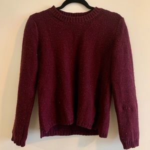APC Maroon Sweater